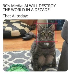 AI Cat is Dog